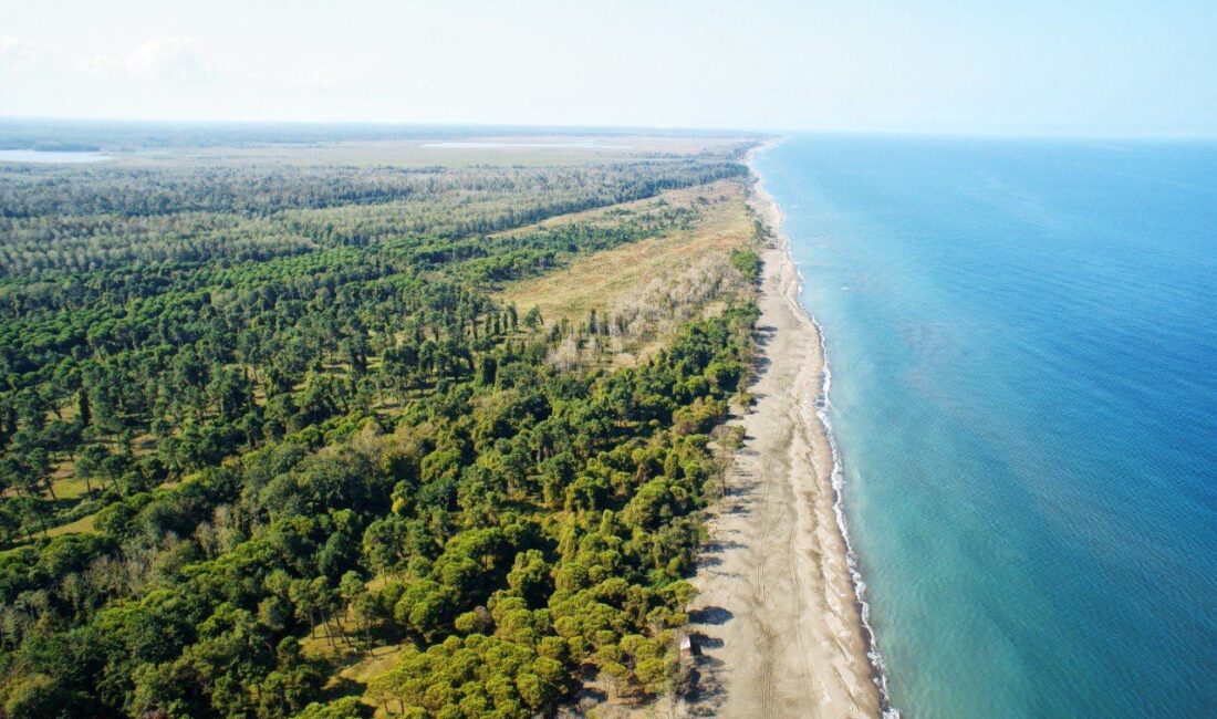 Terme Belediye Başkanı Ali