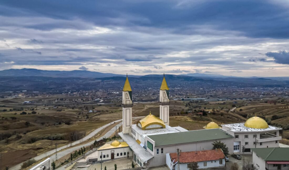 Kısa adı MESVAK olan