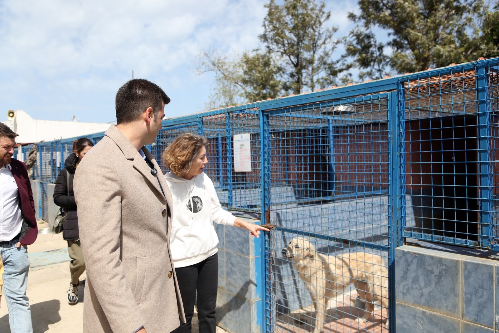 Mandalinci'den sokak hayvanları için refah sözü