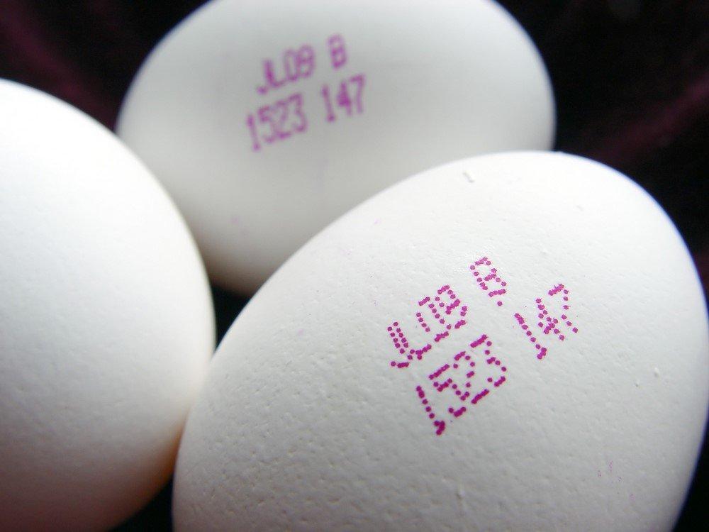 Yumurtanın üstündeki kodlar ne anlama geliyor?