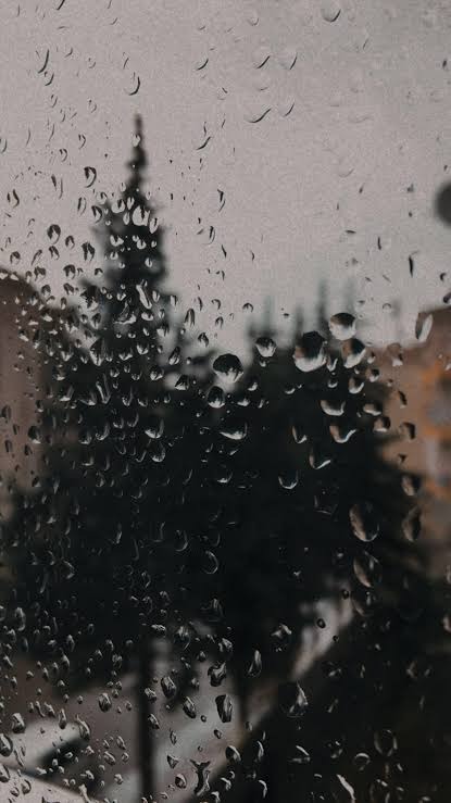 Yağmurun Faydaları: Doğanın Neme İhtiyacı