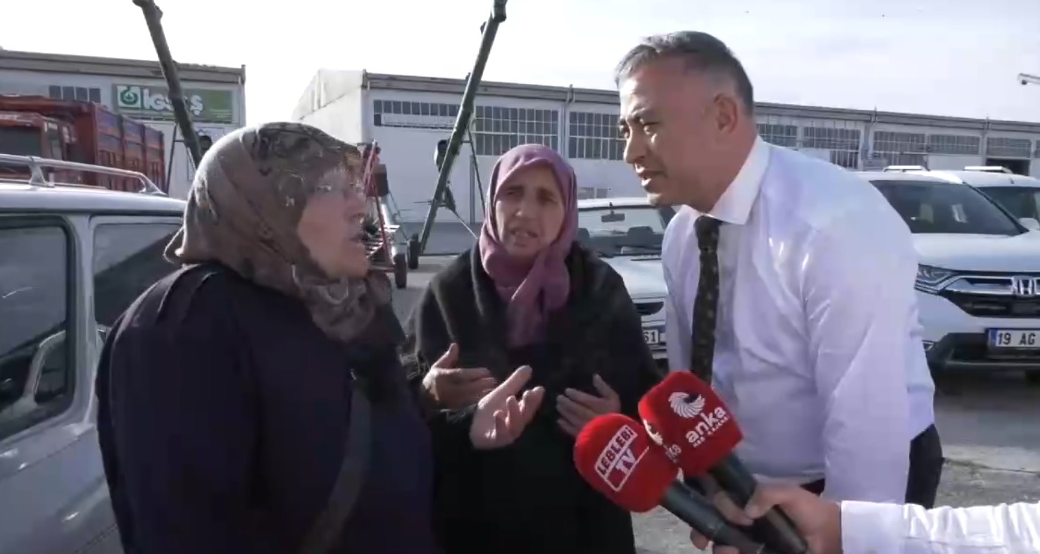 Hibeli nohut tohumuna hile karıştırdılar!