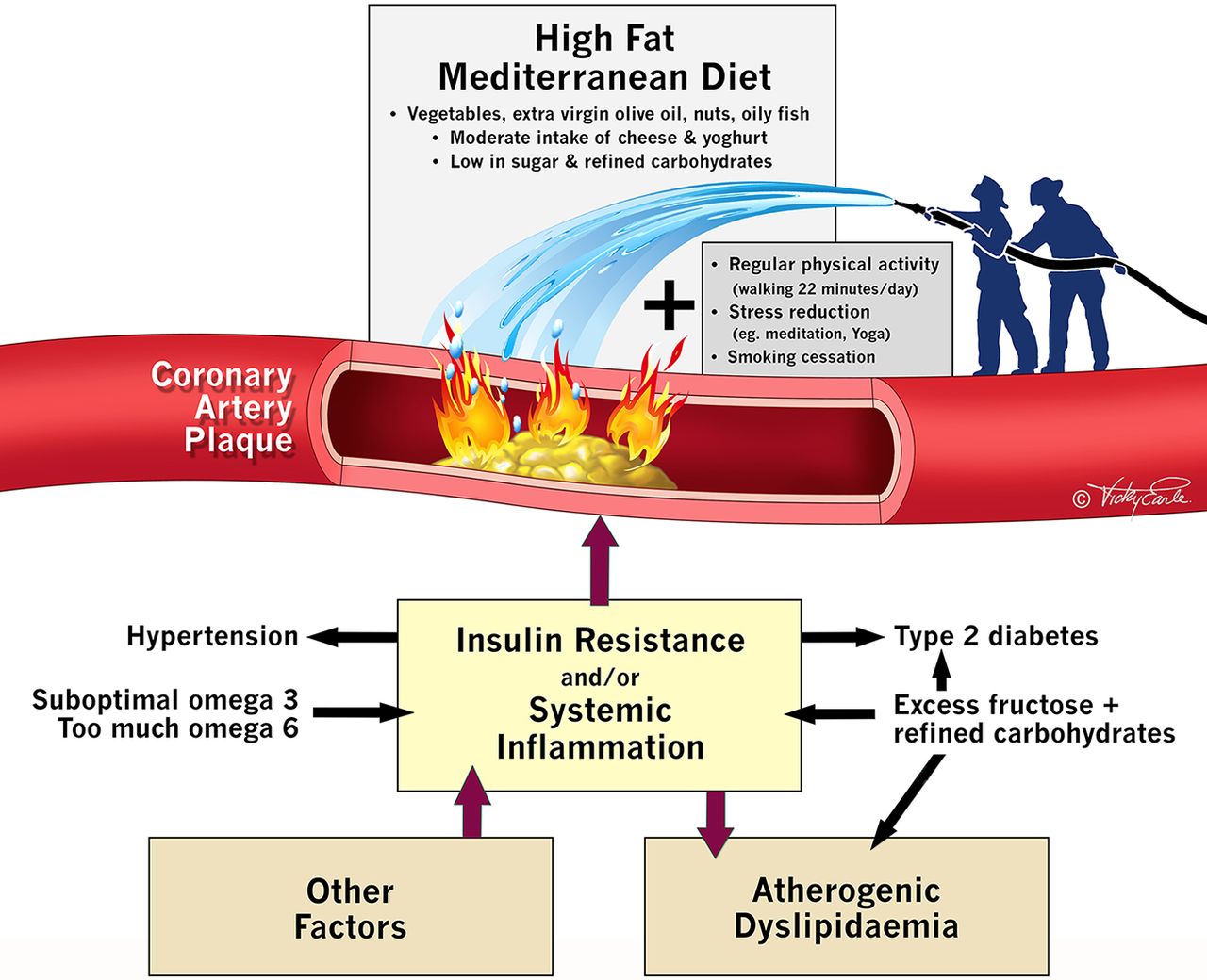 Kalp krizinin sebebi insülin direncidir