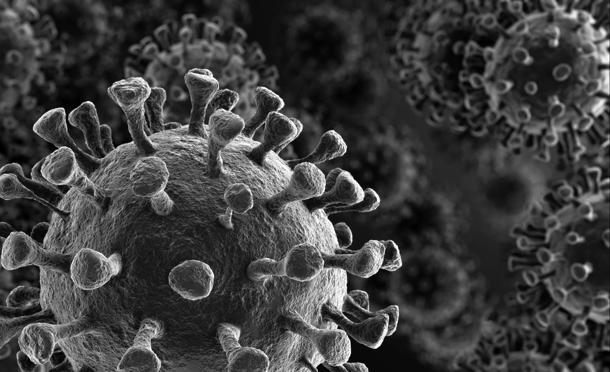 Yeni Araştırma, COVID-19 Virüsünün Kanser Riskini Artırabileceğini Ortaya Koydu