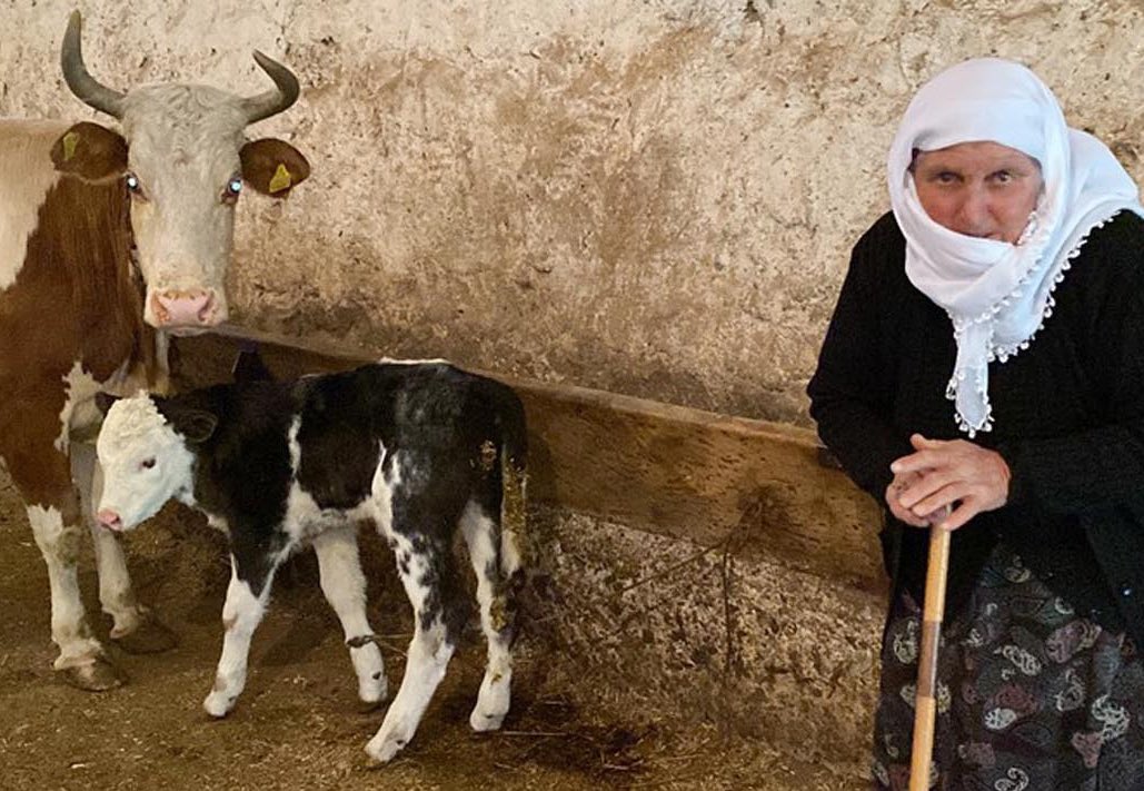 Karslı Çiftçi Sarıgül Kaçan, Buzağısını Satıp Geliri Filistin’e Bağışlayacak