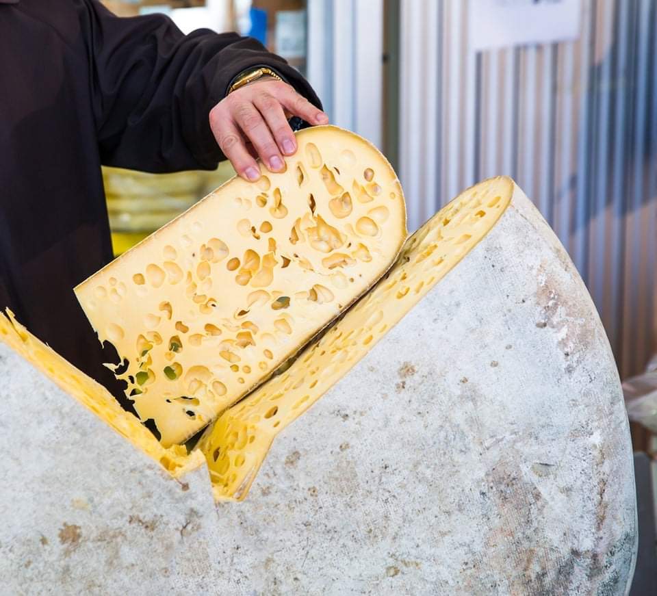 Kars Gravyer Peyniri ve İsviçre Kökenleri: 140 Yıllık Bir Geleneğin Hikayesi