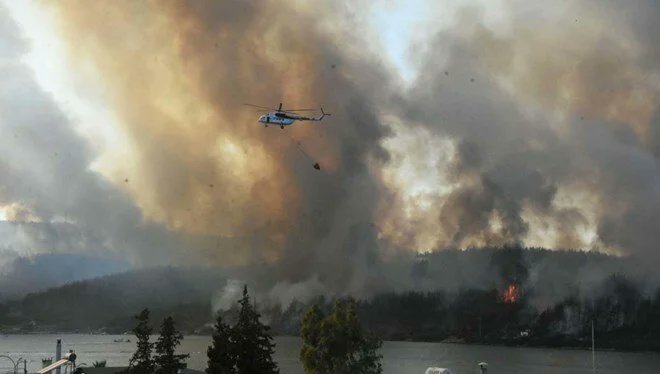 Aydın’da Orman Yangınıyla İlgili Şoke Eden Gelişme: 100 Bin Lira Karşılığında Ateşe Verildi