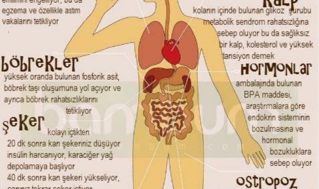 Gazlı içecekler, özellikle Coca-Cola