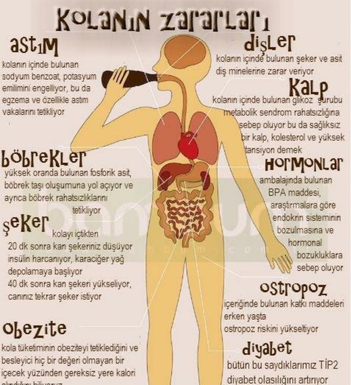 Gazlı İçeceklerin Sağlık Üzerindeki Tehlikeleri