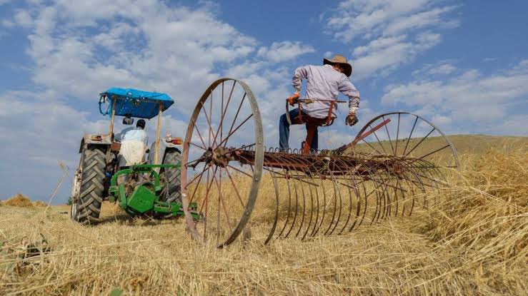 Çiftçiden Ziraat Bankası'na İsyan: Kredi Şartları Çiftçiyi Zorluyor