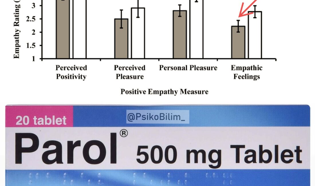 Paracetamol, dünya genelinde en
