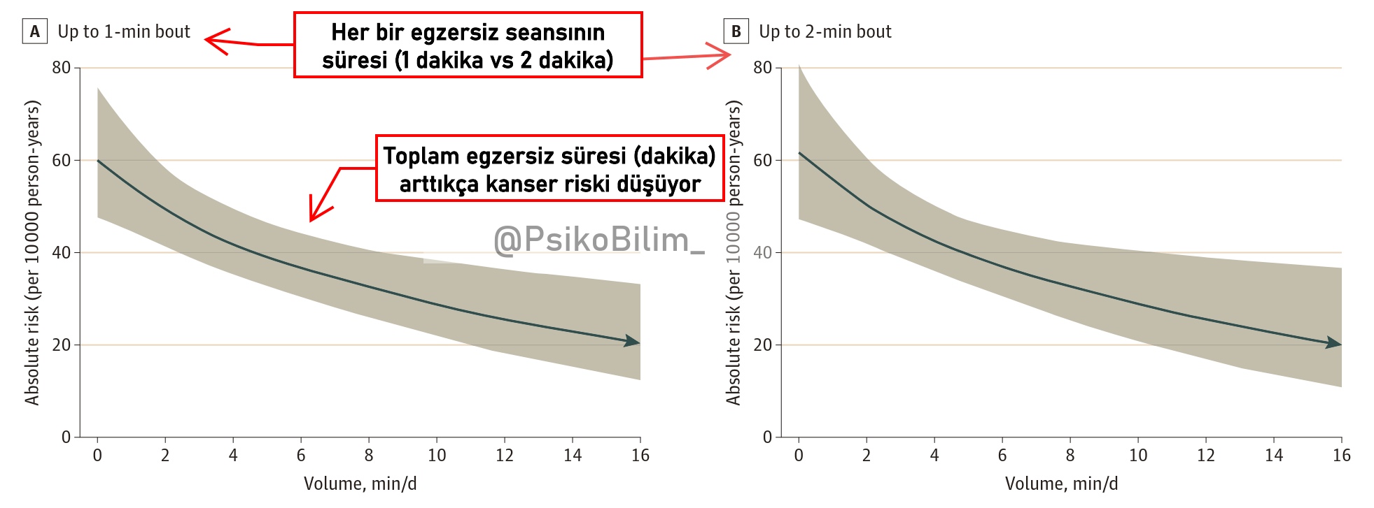 Kısa Günlük Egzersizlerle Kanser Riski Azaltılabilir