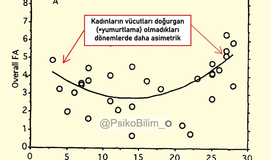 Son yapılan araştırmalar, kadınların