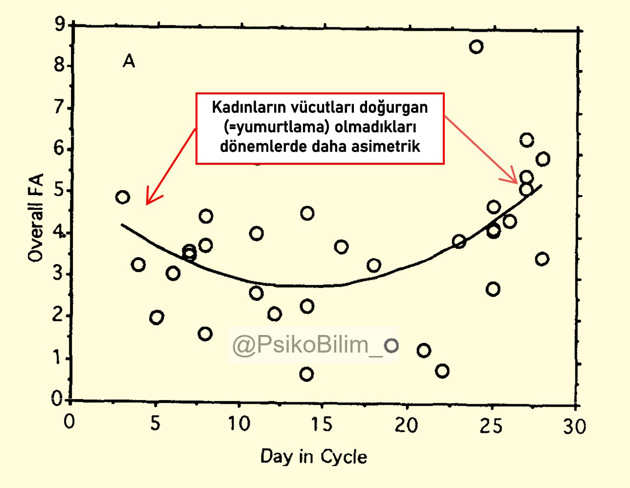 Doğurganlık ve Asimetri İlişkisi: Kadınların Vücutları Erkeklerin Seçiminde Rol Oynuyor