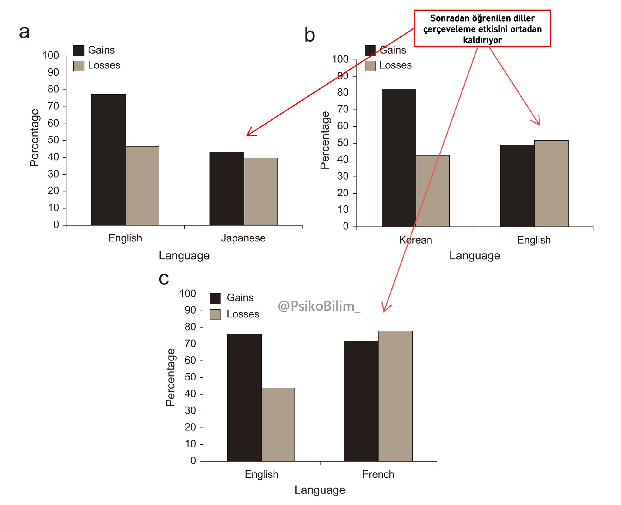 Yabancı Dil Kullanımı Karar Verme Sürecinde Objektifliği Artırıyor