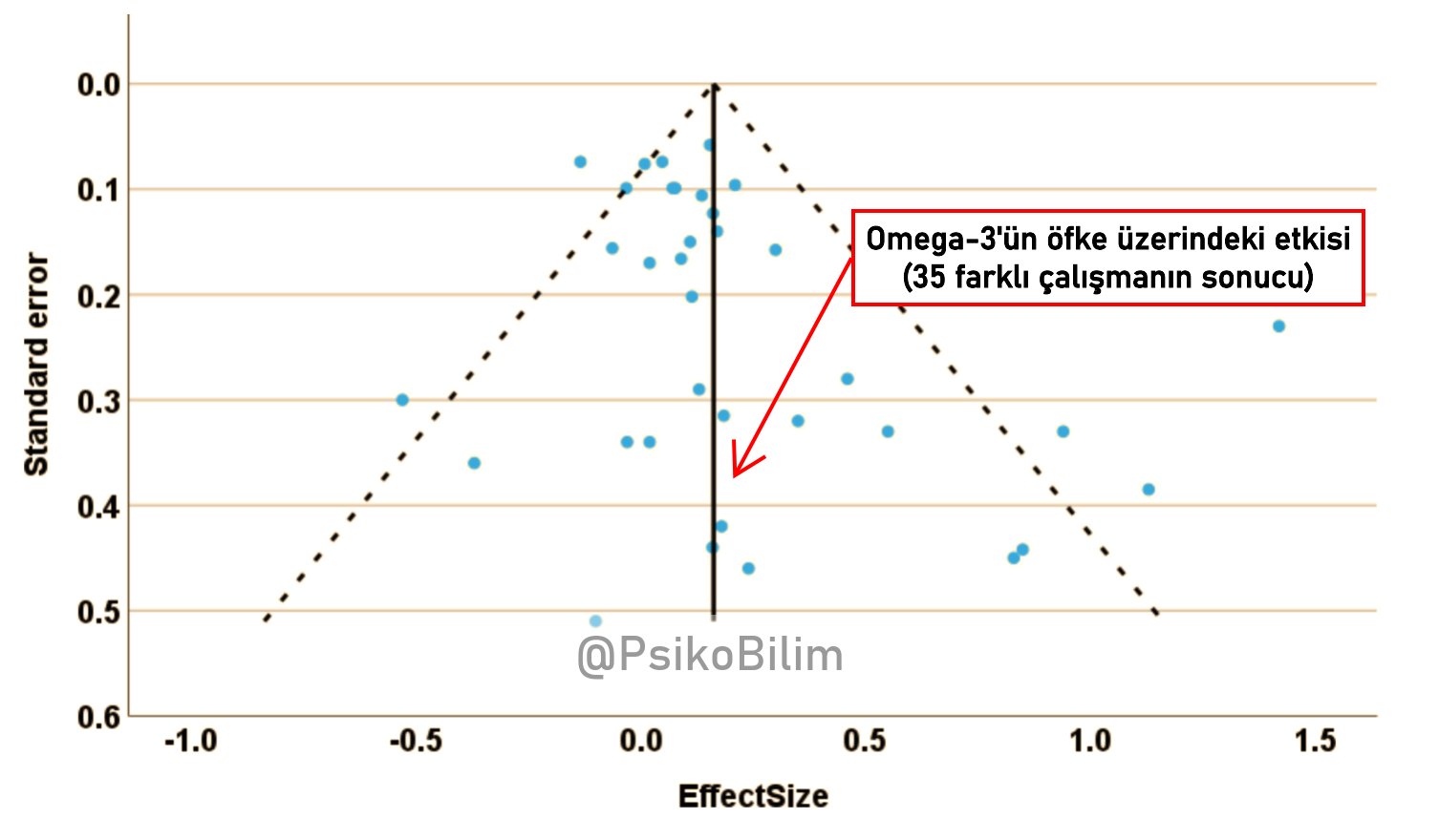 Omega-3 Takviyesi Öfke Seviyelerini Düşürebilir: Yeni Araştırma Bulguları