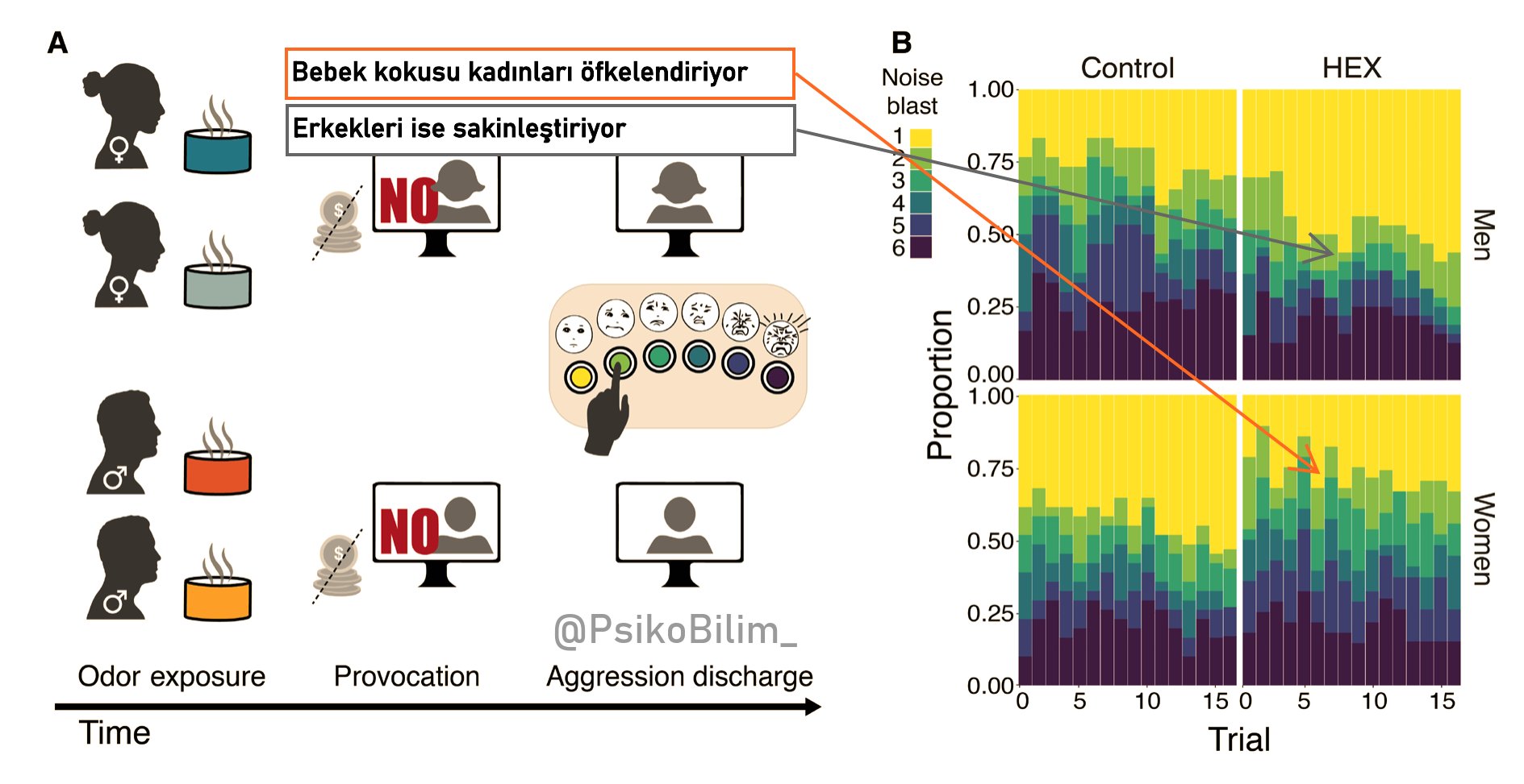 Bebek Kokusu Kadınları Öfkelendirirken Erkekleri Sakinleştiriyor: Bilimsel Araştırmanın Şaşırtıcı Sonuçları