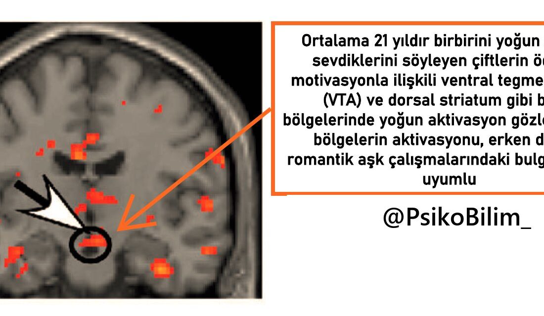 Nörobilim alanında yapılan son