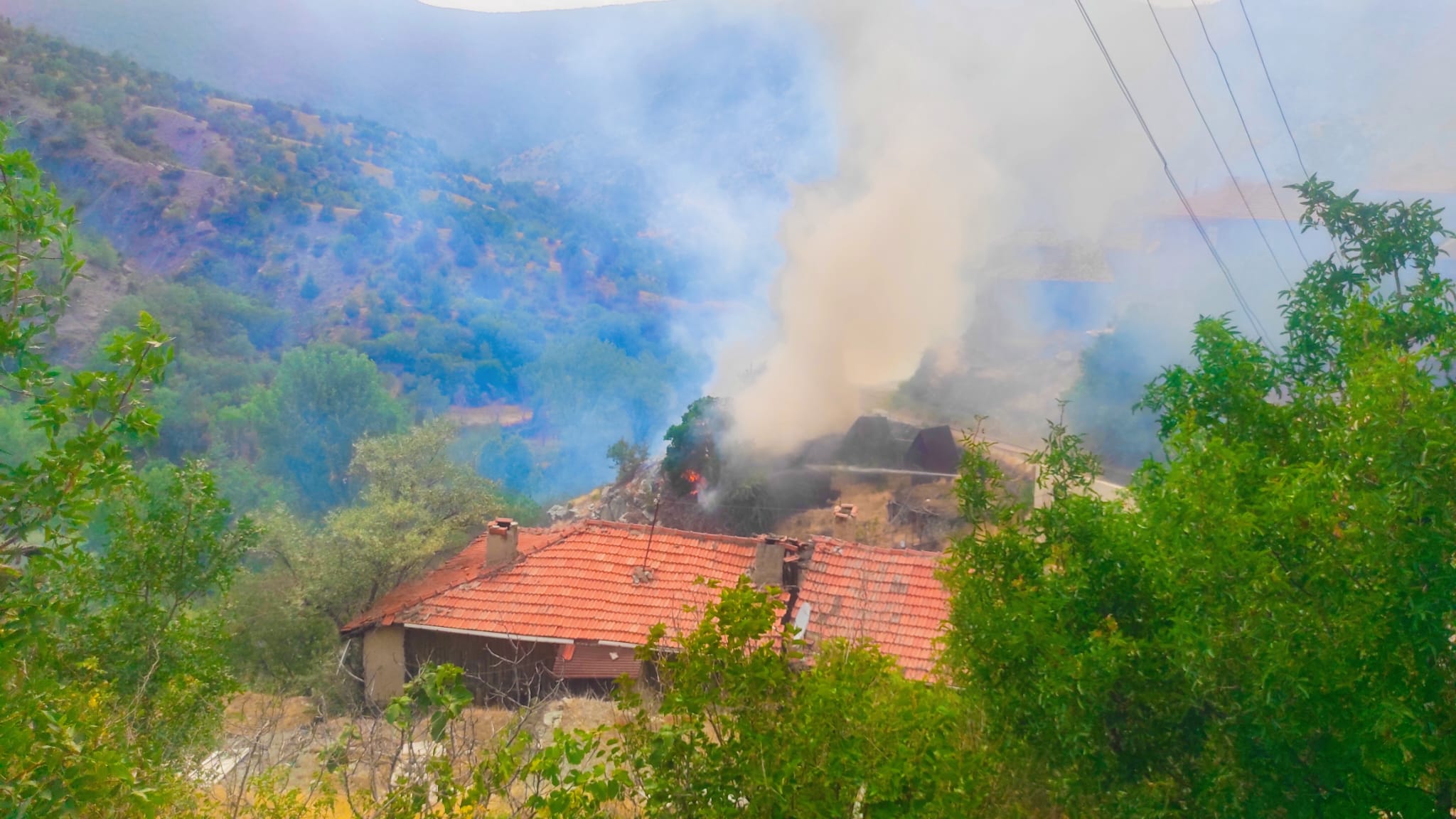 Nallıhan da Yangın Korkuttu