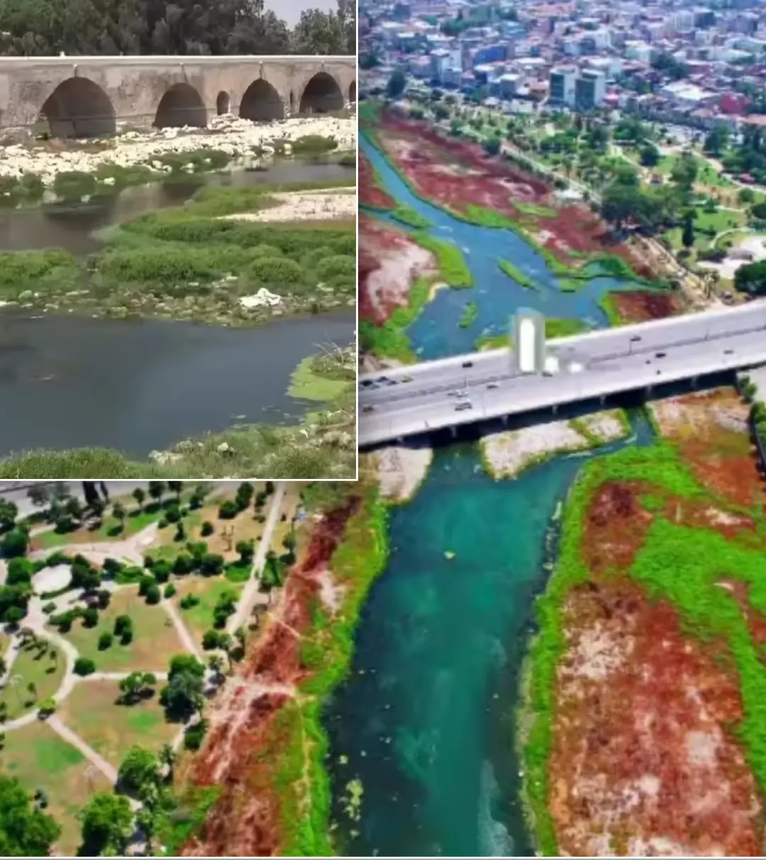 Seyhan Nehri'nde Yosun Baskını: Kötü Koku Vatandaşları Rahatsız Ediyor!