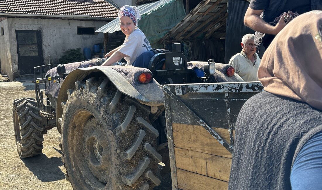 Düzce’nin Akçakoca ilçesine bağlı