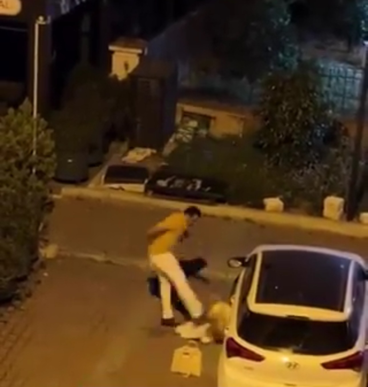 Mersin’de Şok: Kimliği Belirsiz Kişi Sokak Ortasında Kadına Saldırdı