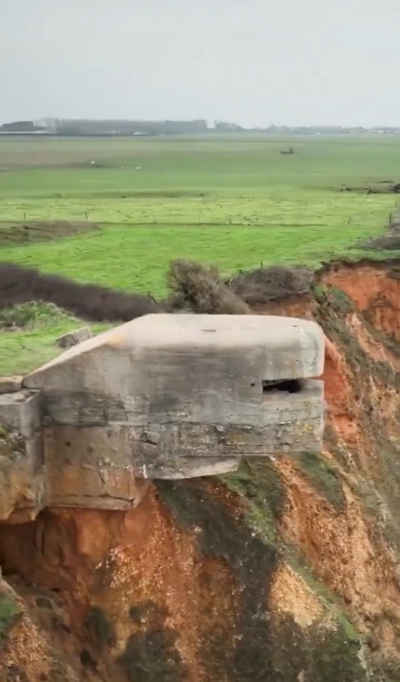 Normandiya’nın Yüksek Uçurumlarındaki Tehlikeli Sığınak Ziyaretçileri Bekliyor