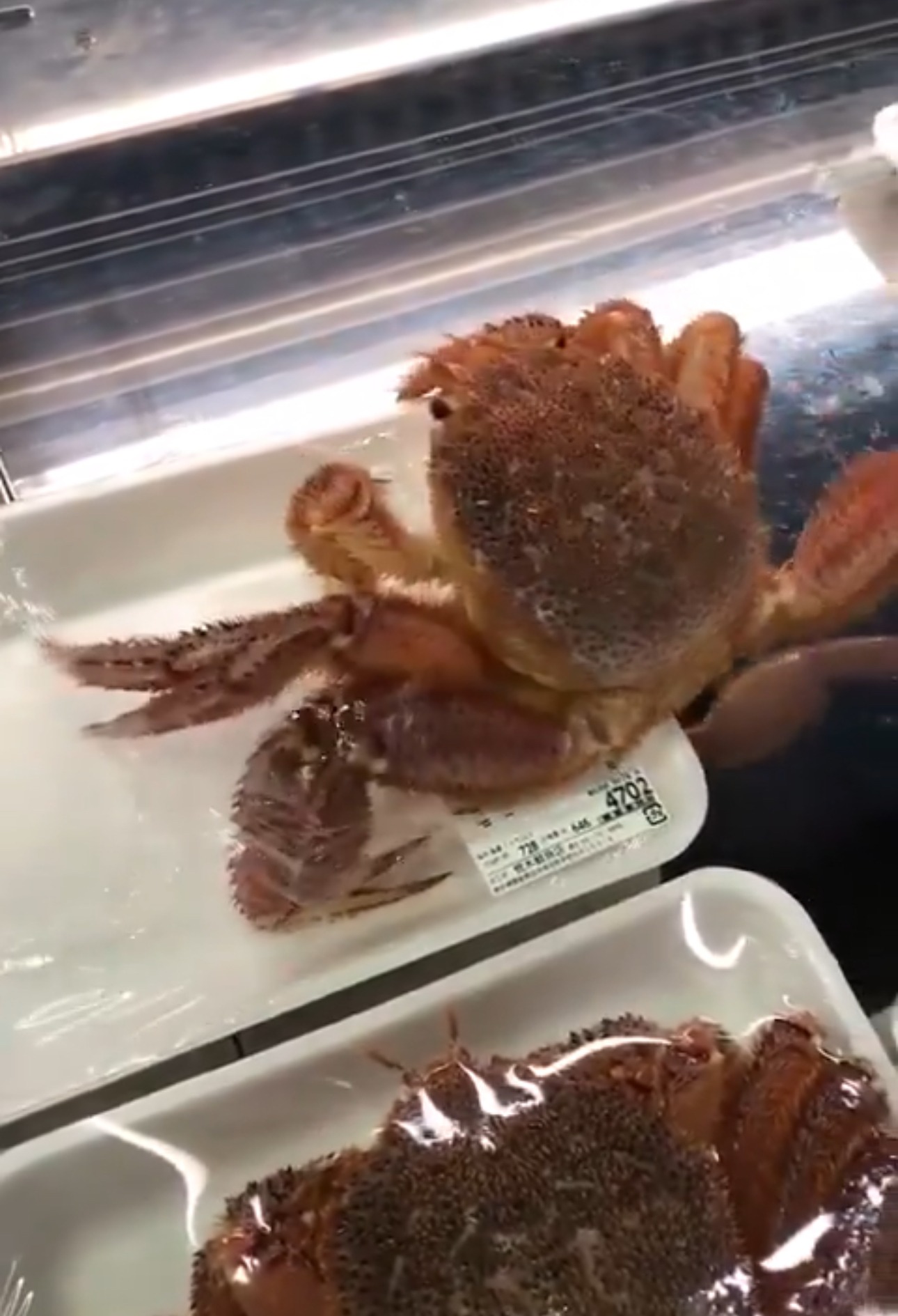 Çin’de Bir Market Olayı: Yengeç Paketten Canlı Çıktı