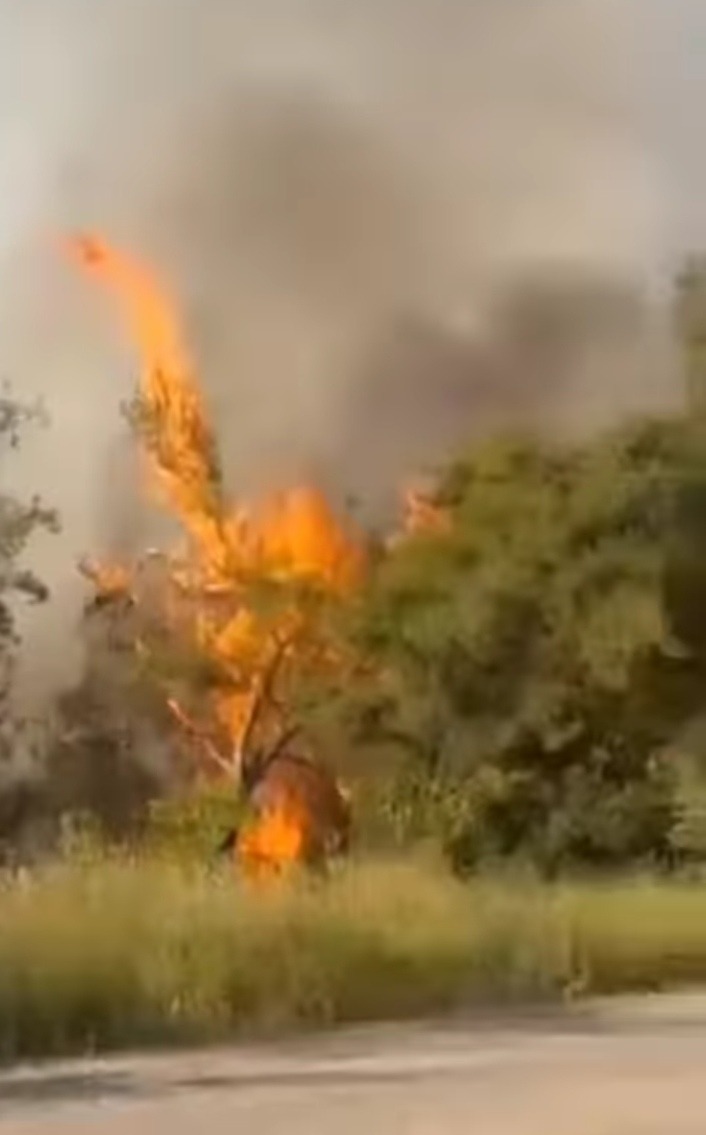 "Adana'da Termometreler 43 Dereceyi Gösterdi: Orman Yangınları ve Yol Erimesi"