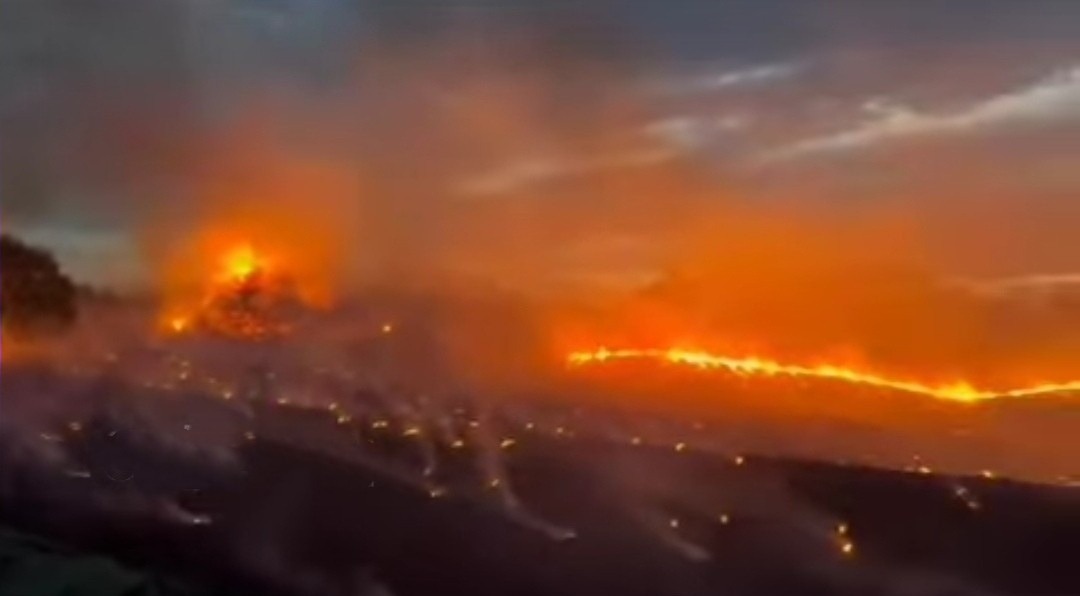 Adana'da Orman Yangınları Kontrol