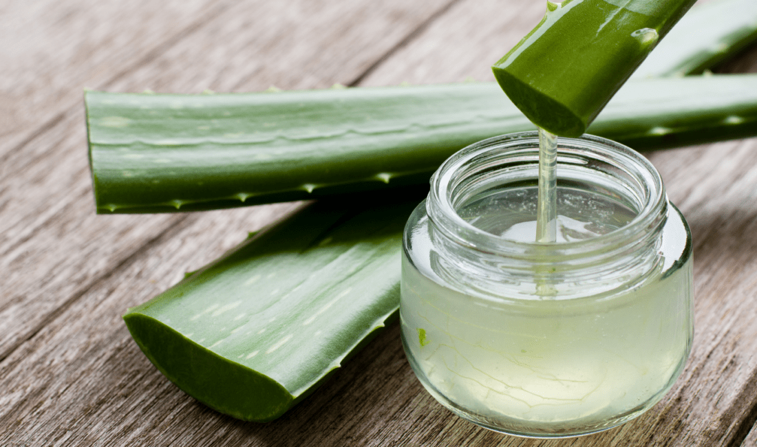 Aloe vera, sağlık ve