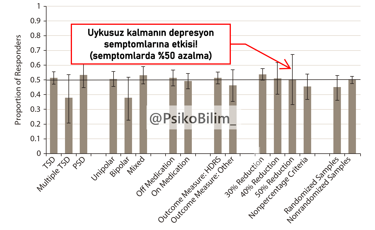 Uykusuzluk, Depresyon için Alternatif Bir Tedavi Olabilir mi?