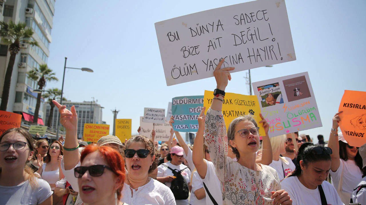 Sokak Hayvanları Katliamını Önleme Çağrısı: Muhalefet Milletvekillerinden Güçlü Tepki