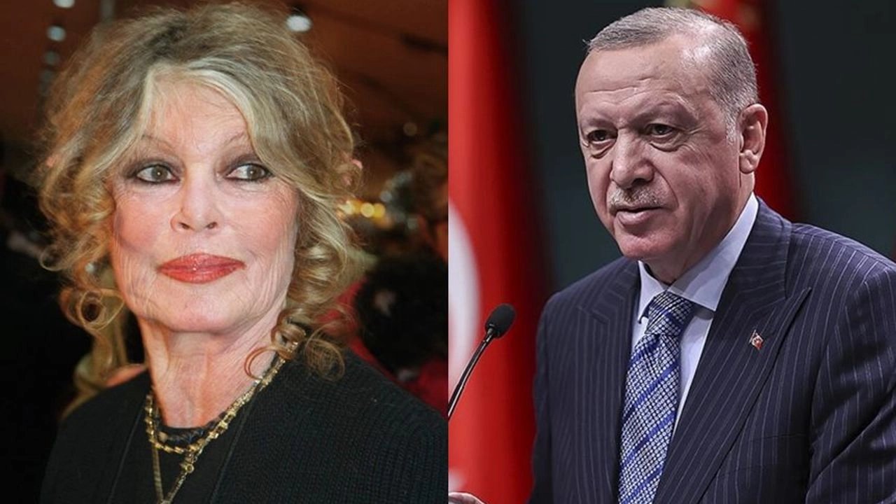 Brigitte Bardot'dan Cumhurbaşkanı Erdoğan'a Çağrı: Sokak Köpekleriyle İlgili Kanun Teklifi Geri Çekilsin