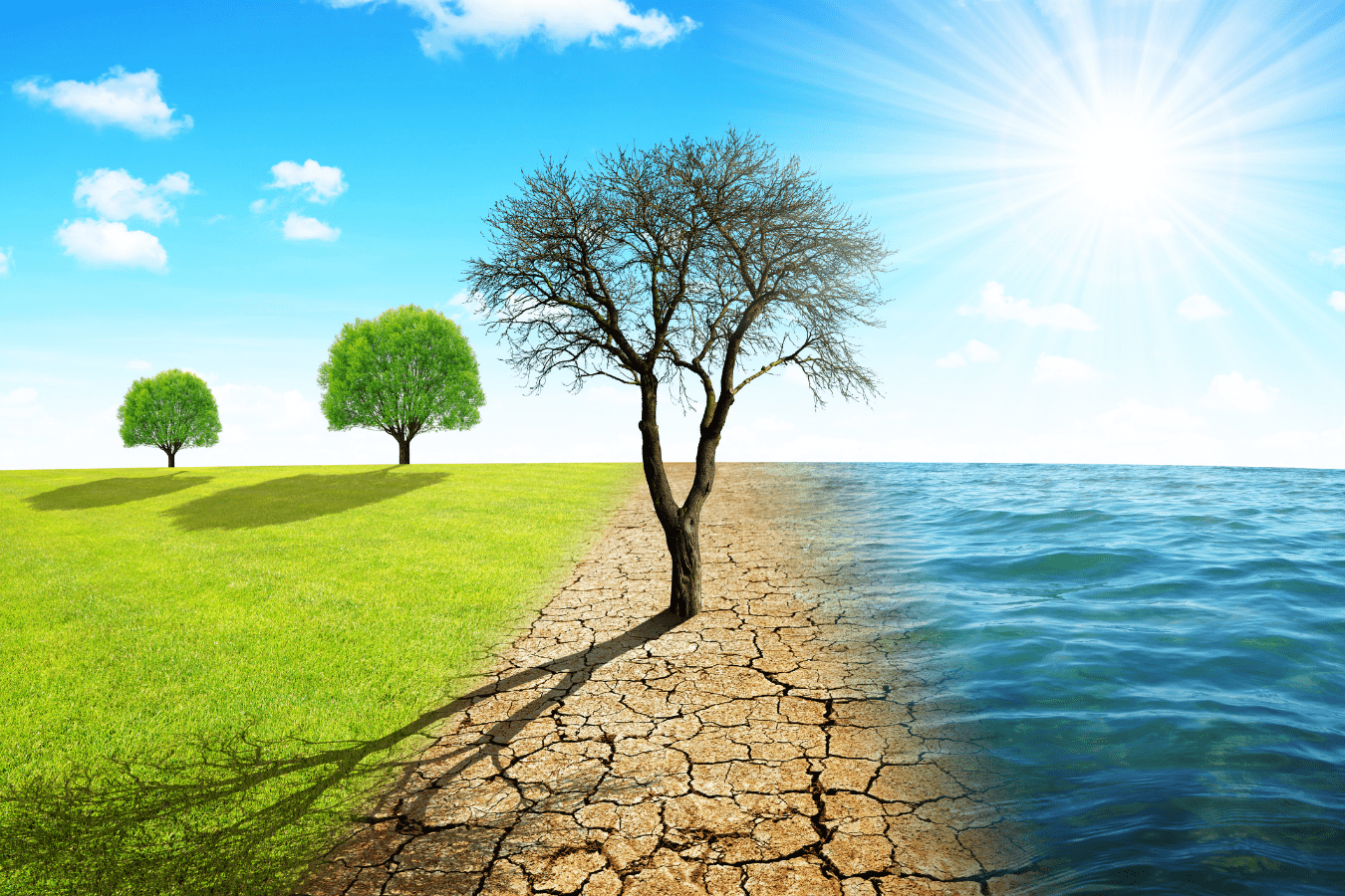 Küresel Isınma Alarm Veriyor: Dünya Son 30 Yılın En Sıcak Yazını Yaşıyor