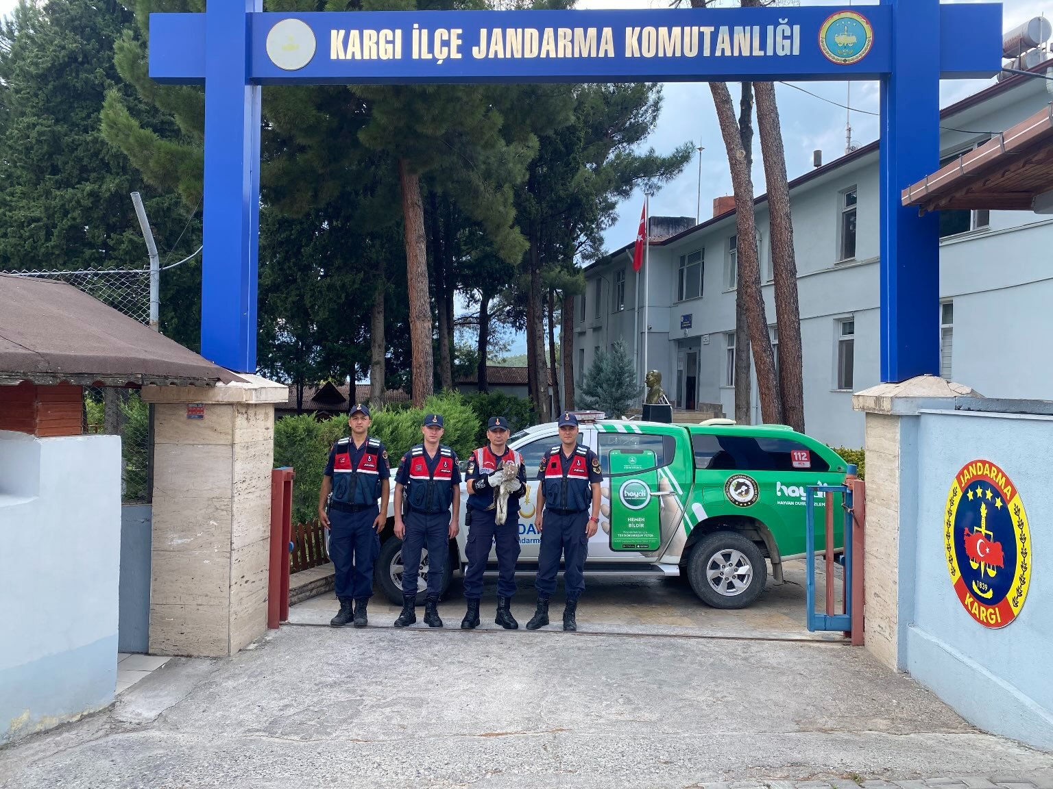 Hasta Yavru Kartal'ın İmdadına Jandarma Yetişti.