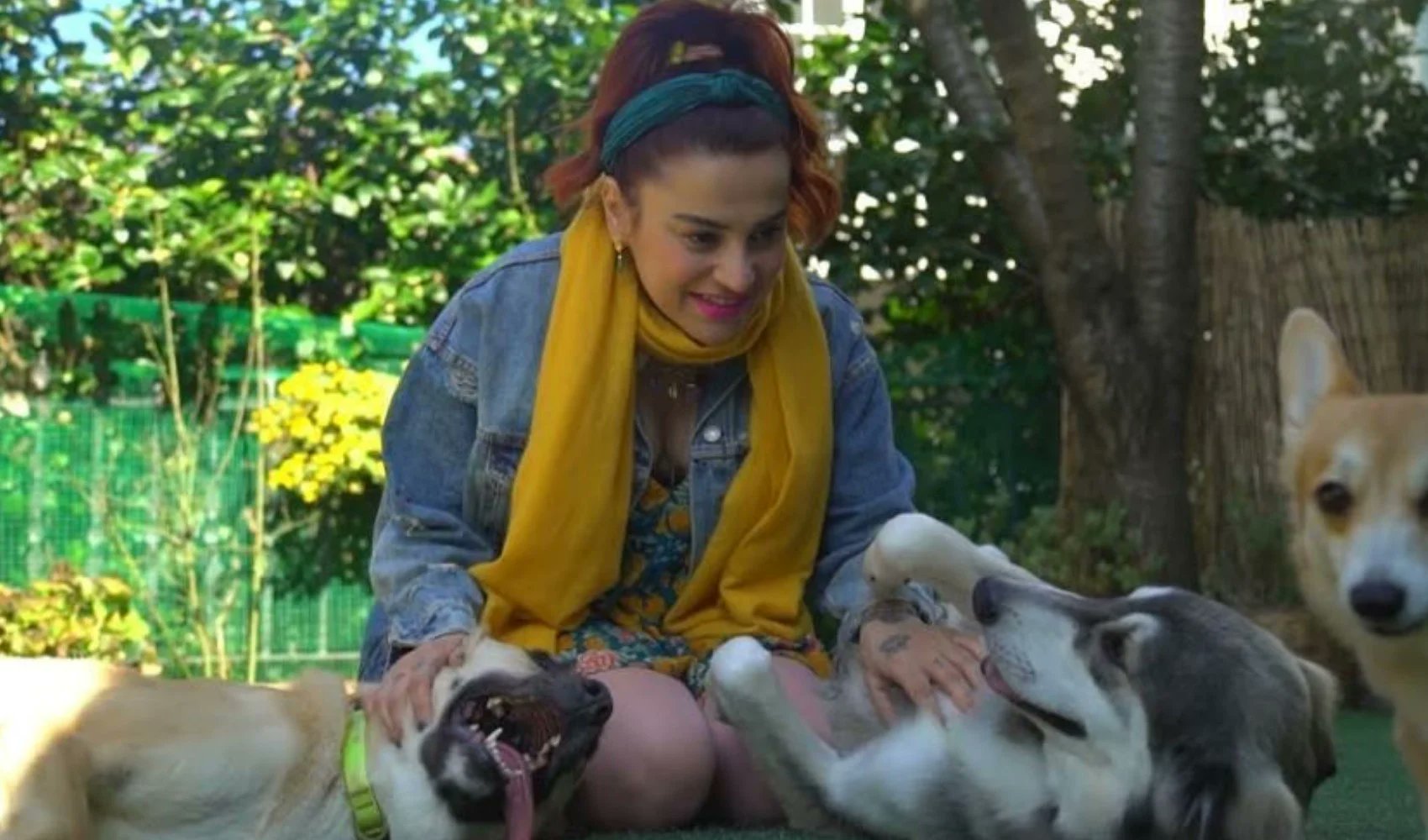 Ceylan Ertem'den 'Köpek Sahiplenin' Tavsiyesi: "En Centilmen Koruyucularınız Onlar"