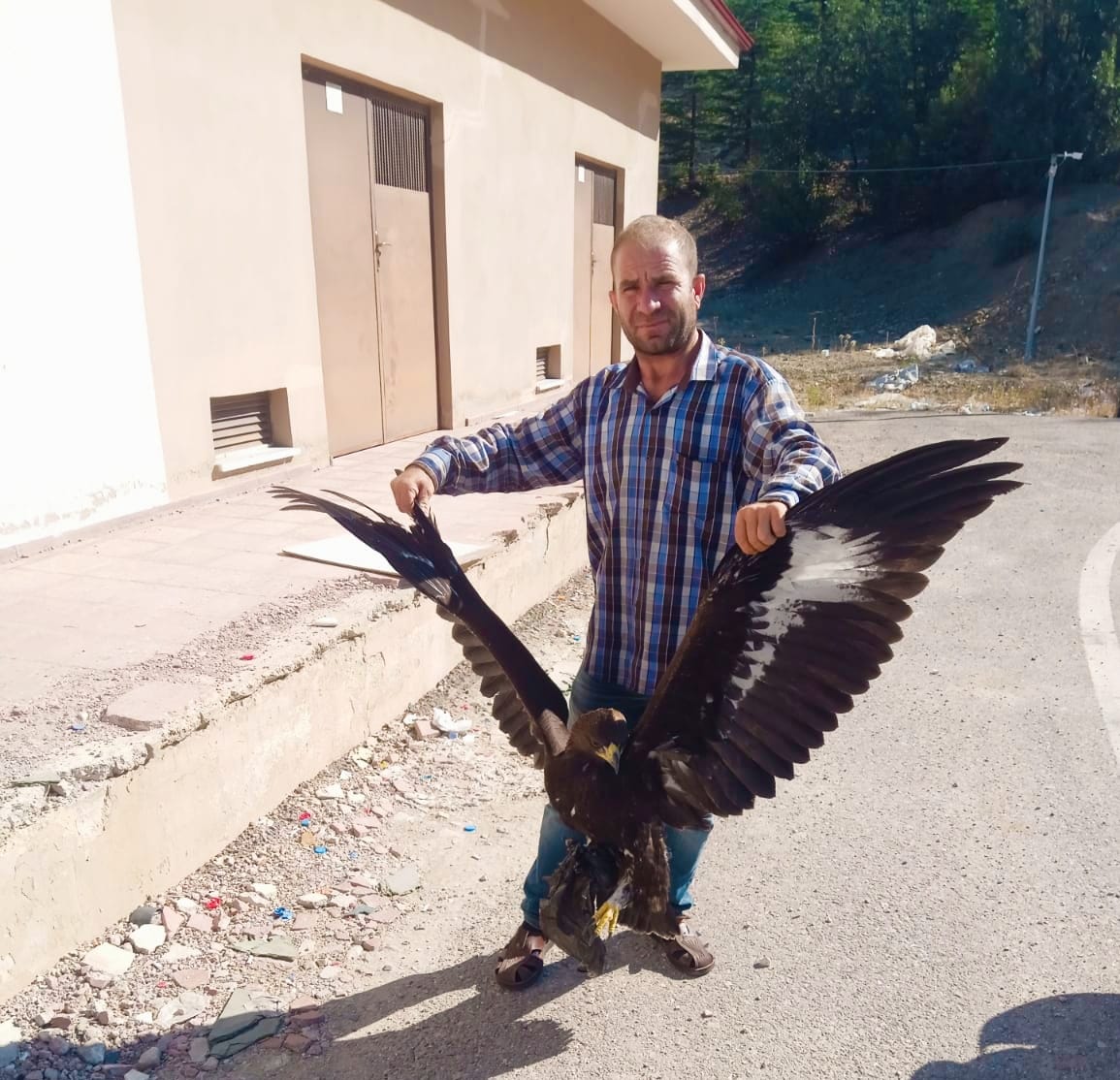 Nallıhan da Pençesine Poşet Takılan Kartal Kurtarılarak Doğaya Bırakıldı .