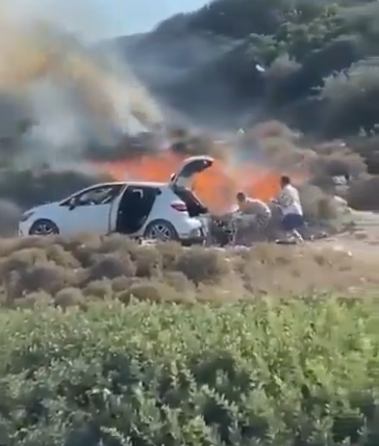 Urla’daki Yangının Yeni Görüntüleri Ortaya Çıktı