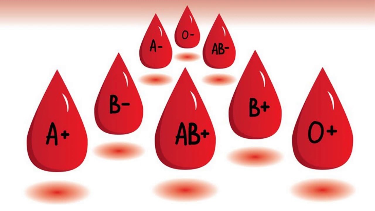 Dünyada Kan Gruplarının Dağılımı ve Kişilik Özellikleri