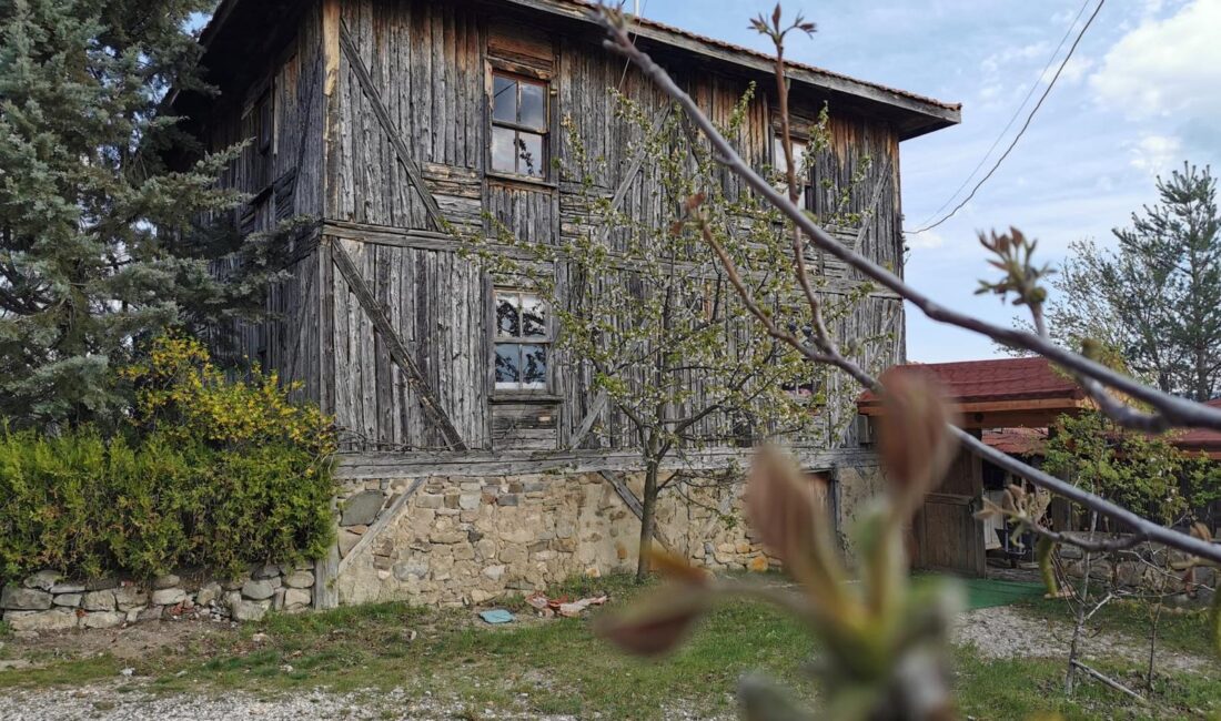 Sincaplar, Nallıhan'ın Oklavlar köyünde