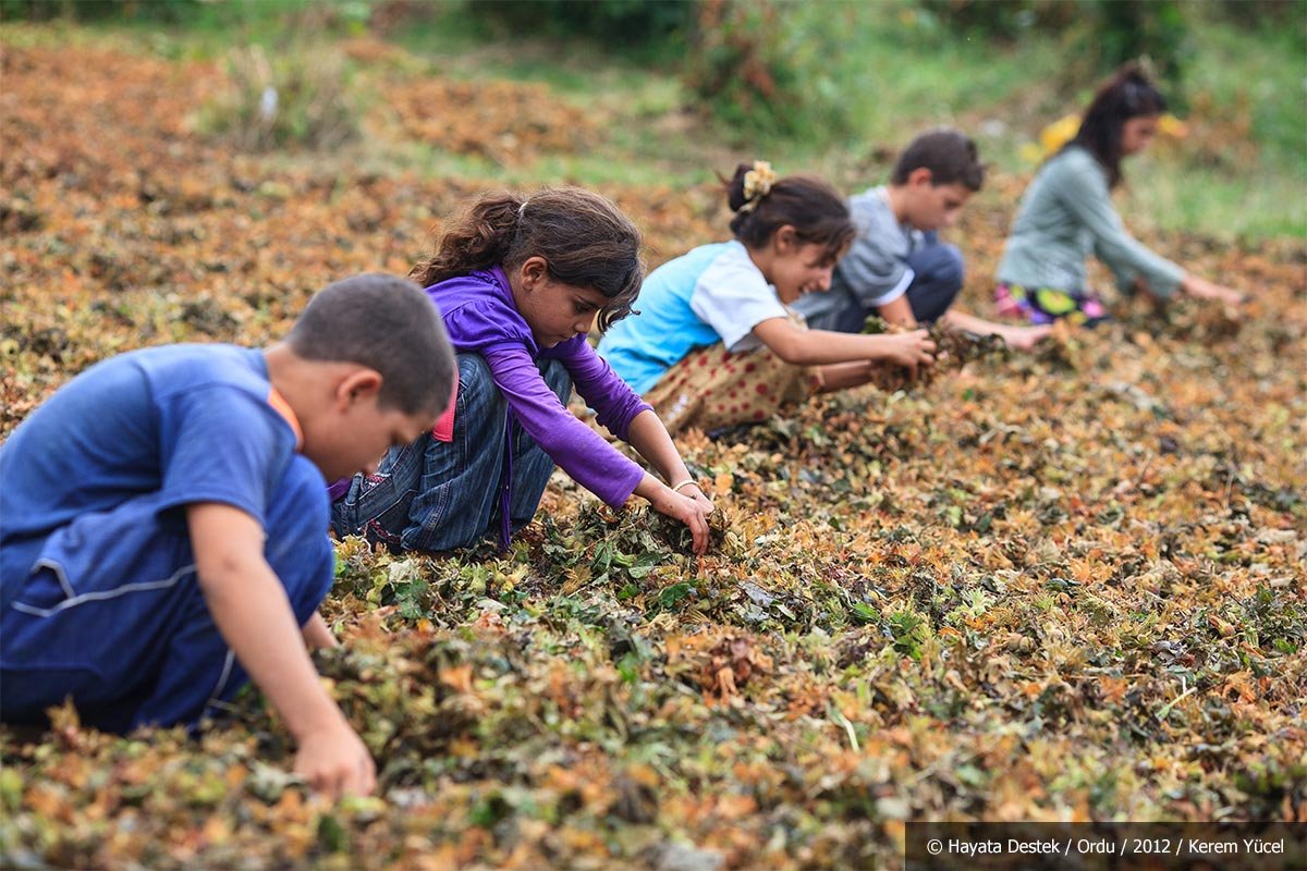 Türkiye'de Çocuk İşçi Ölümleri Artıyor: Son Bir Yılda En Az 66 Çocuk Hayatını Kaybetti