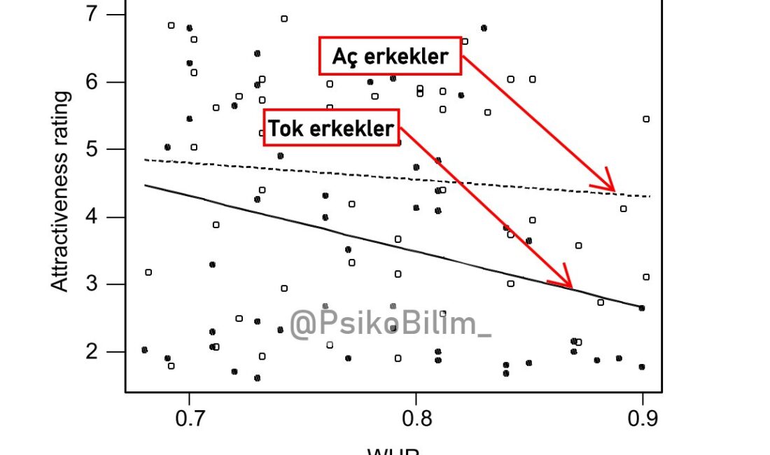 Yapılan bilimsel araştırmalar, erkeklerin