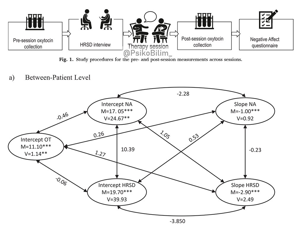 Empati ve Oksitosin: Terapistlerin Hastaların Depresyonunu İyileştirmedeki Rolü