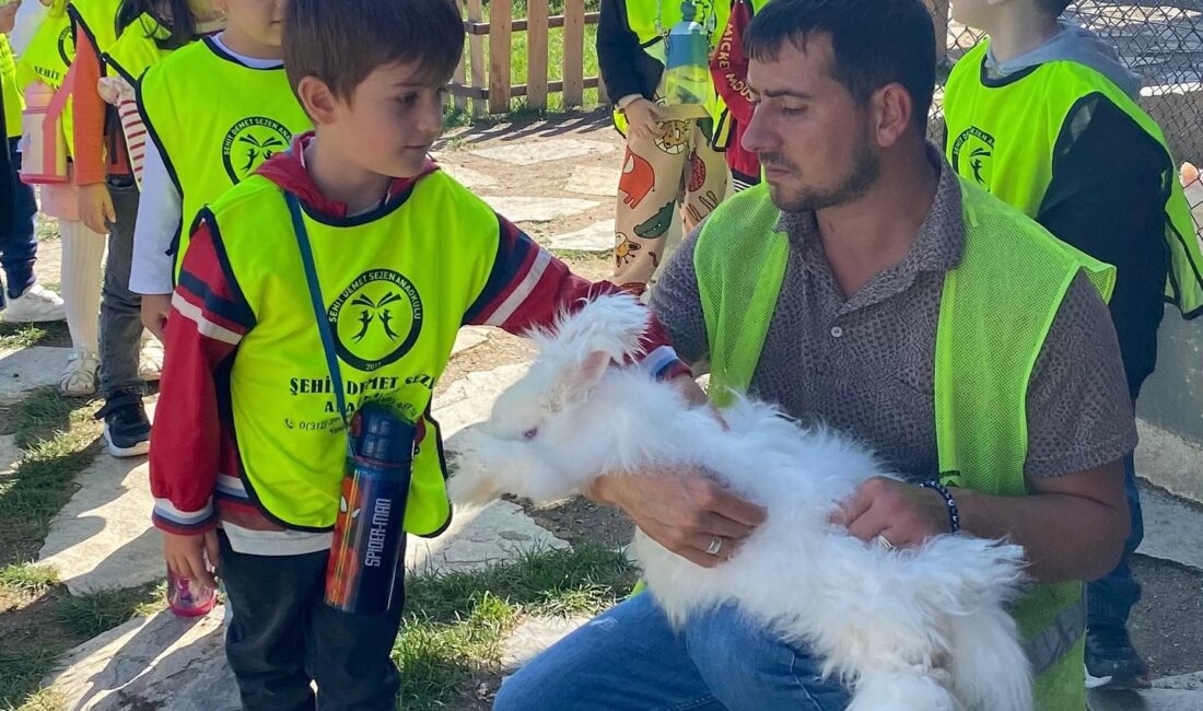 Pursaklar Belediyesi tarafından Başkentin