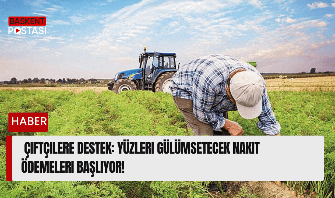 Hükümet, çiftçilere yönelik yeni