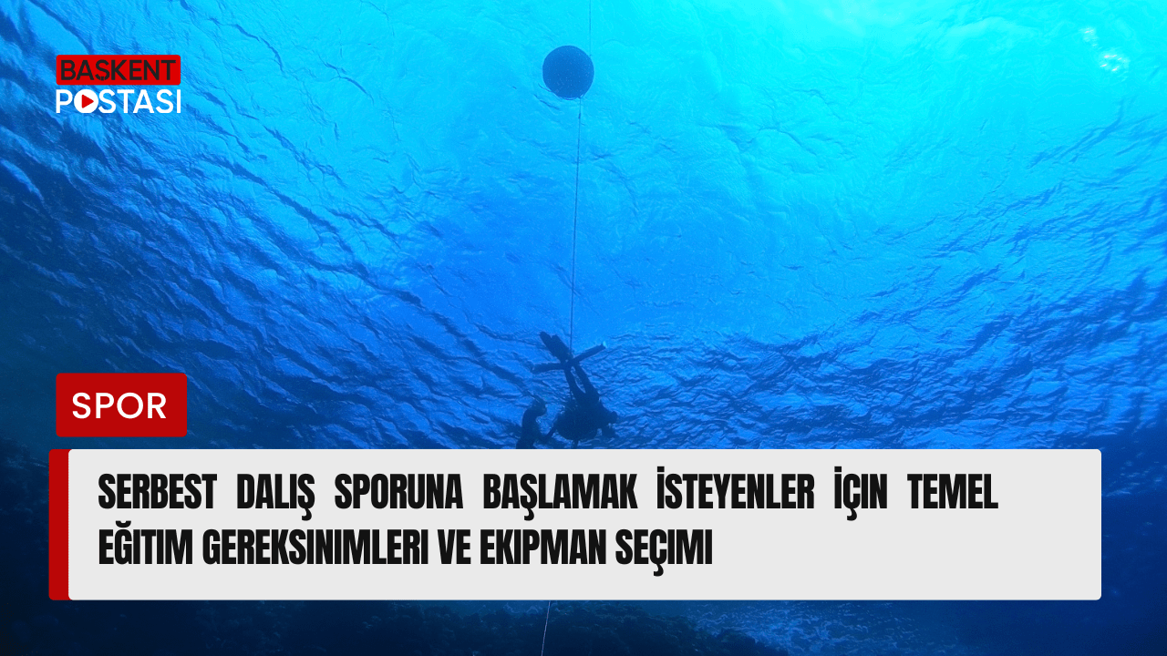 Serbest Dalış Sporuna Başlamak İsteyenler İçin Temel Eğitim Gereksinimleri ve Ekipman Seçimi