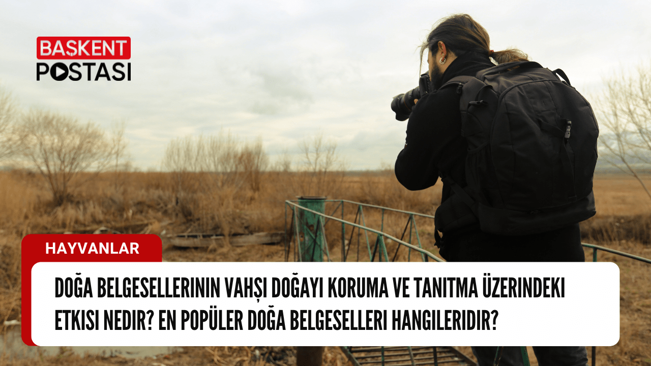 Doğa belgesellerinin vahşi doğayı koruma ve tanıtma üzerindeki etkisi nedir? En popüler doğa belgeselleri hangileridir?