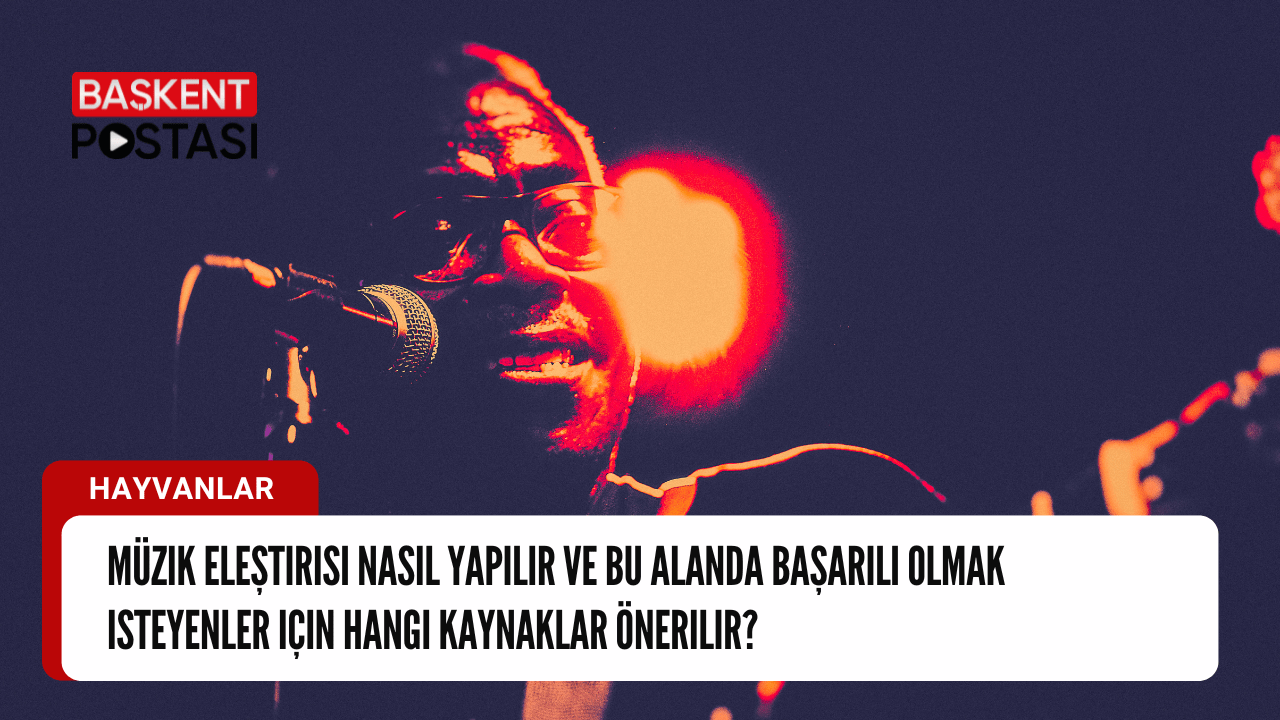 Müzik Eleştirisi: Nasıl Yapılır ve Başarılı Olmak İçin Kaynaklar