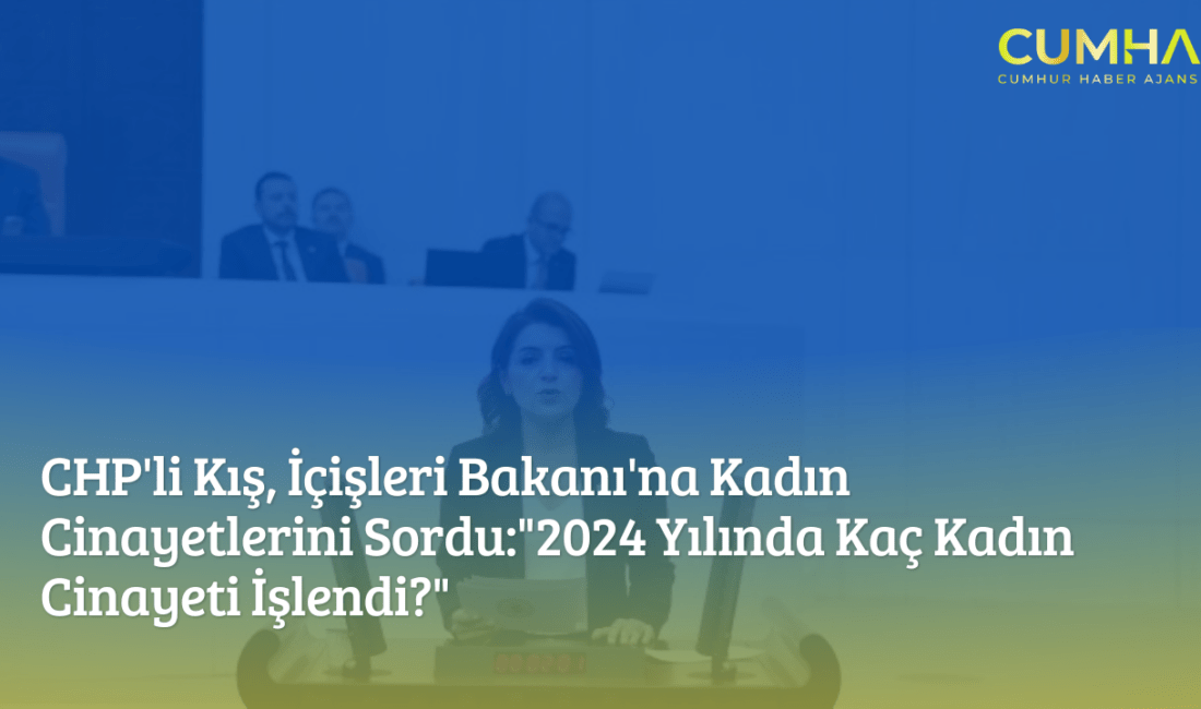 CHP’li Kış, İçişleri Bakanı’na Kadın Cinayetlerini Sordu: “2024 Yılında Kaç Kadın Cinayeti İşlendi?”